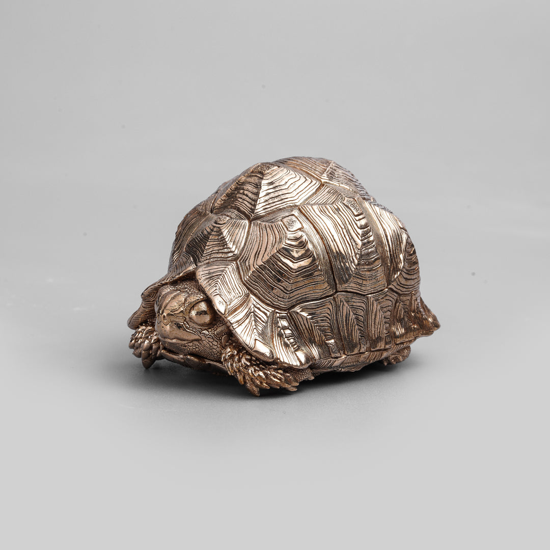 Bronze Leopard Tortoise Statue