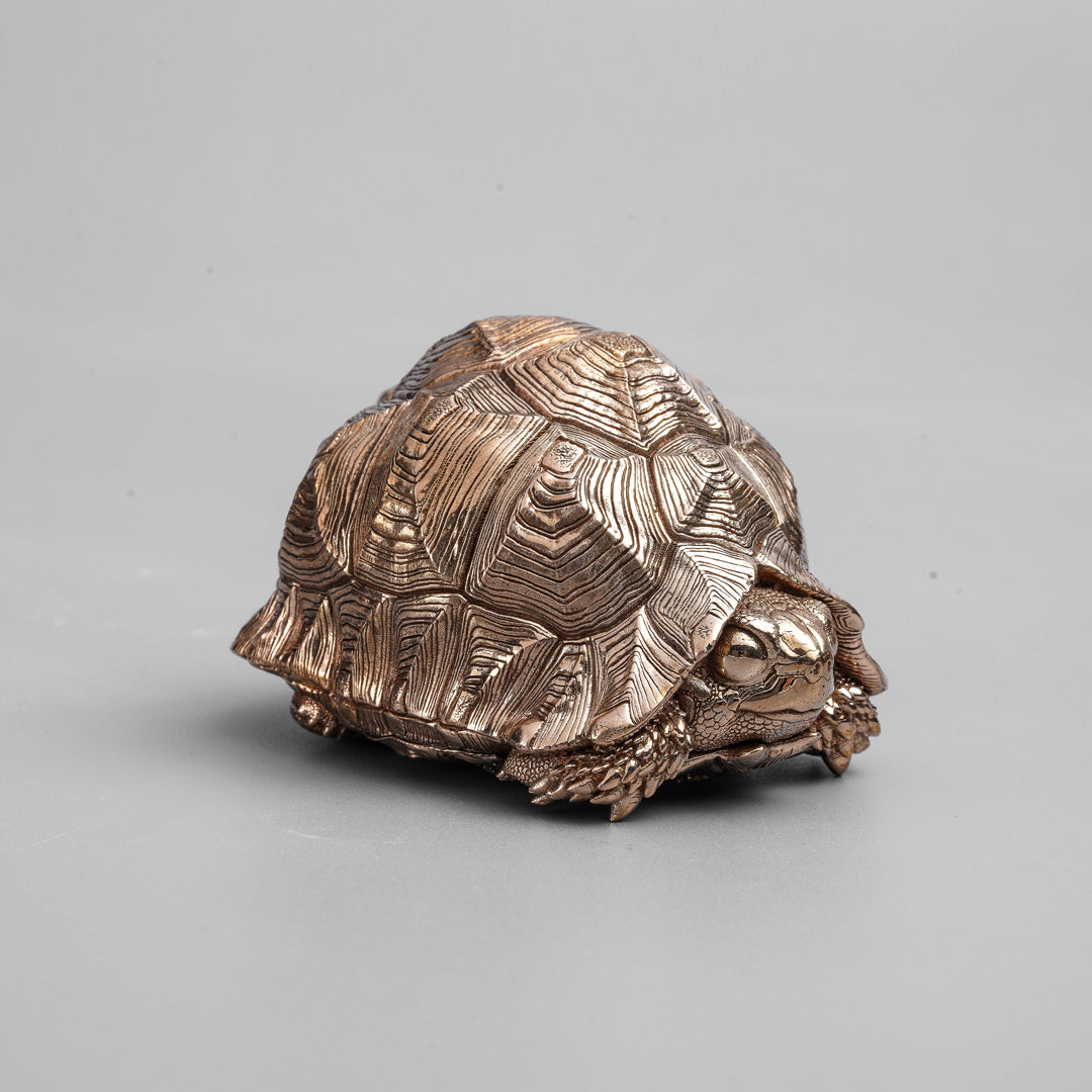 Bronze Leopard Tortoise Statue