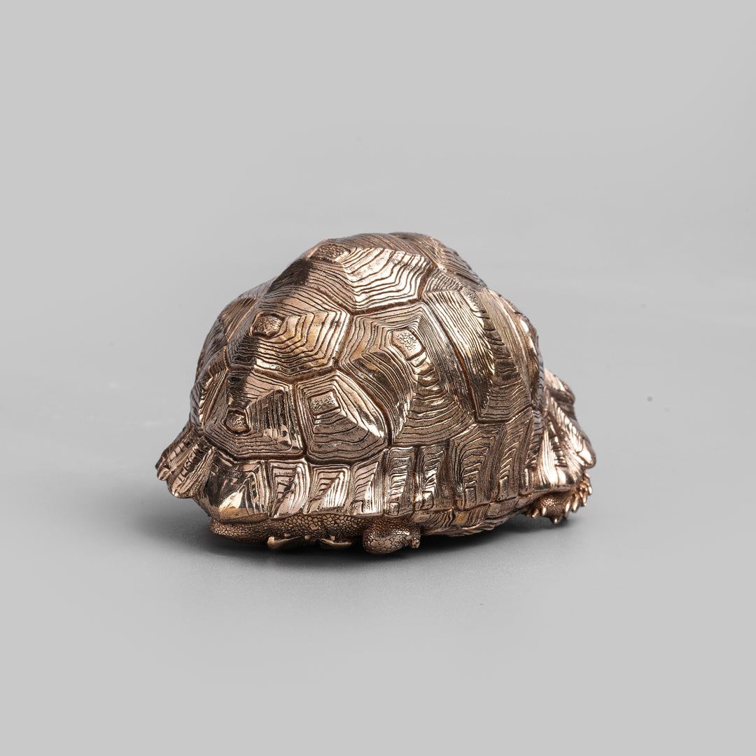 Bronze Leopard Tortoise Statue