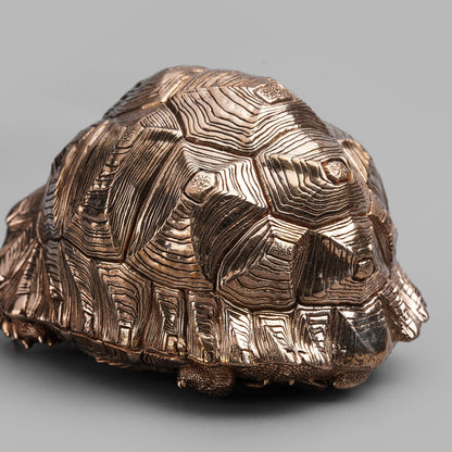 Bronze Leopard Tortoise Statue