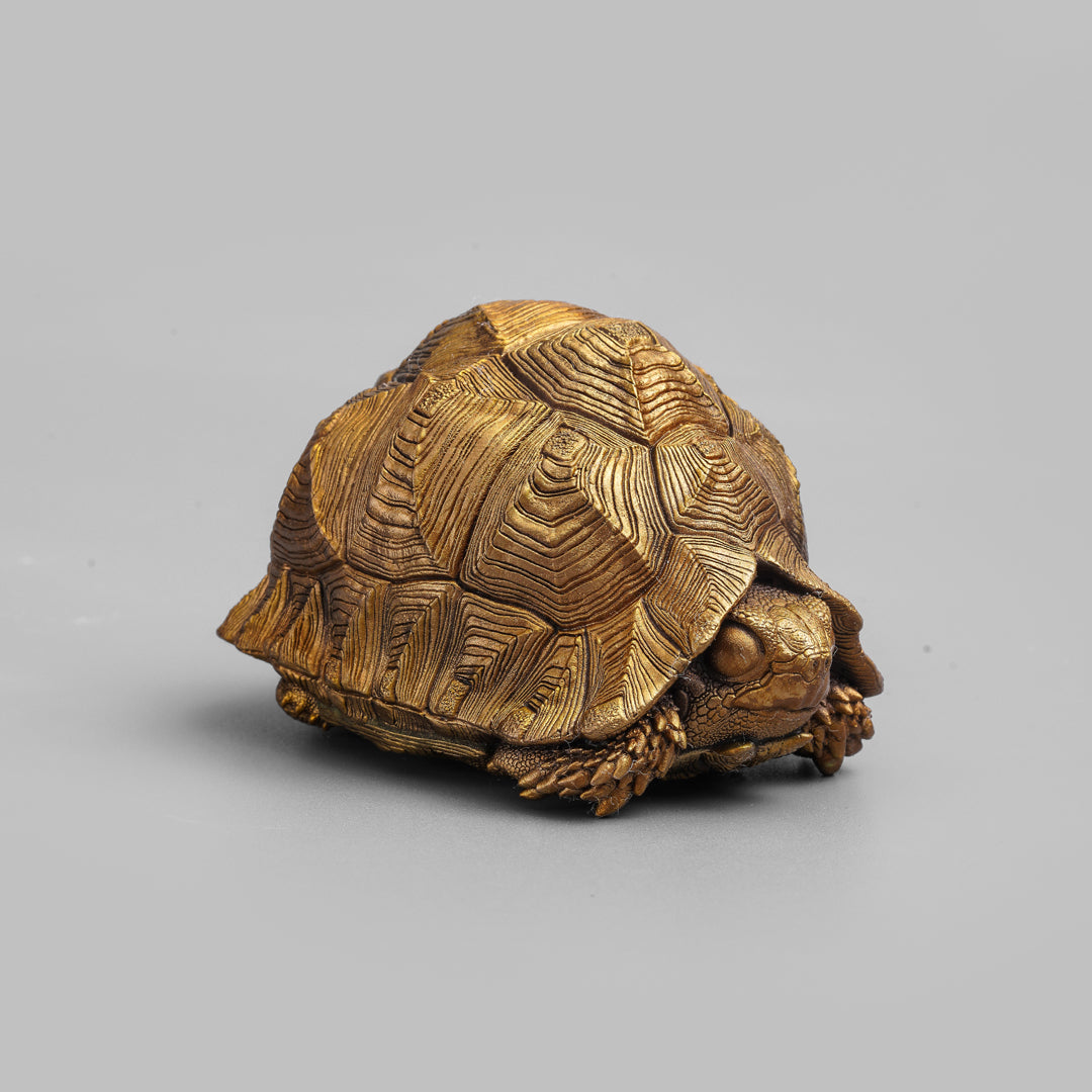 Bronze Leopard Tortoise Statue