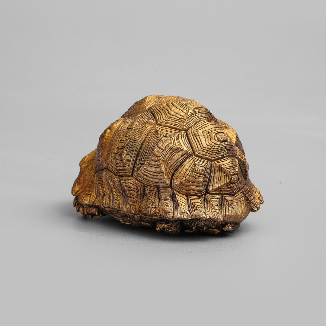 Bronze Leopard Tortoise Statue