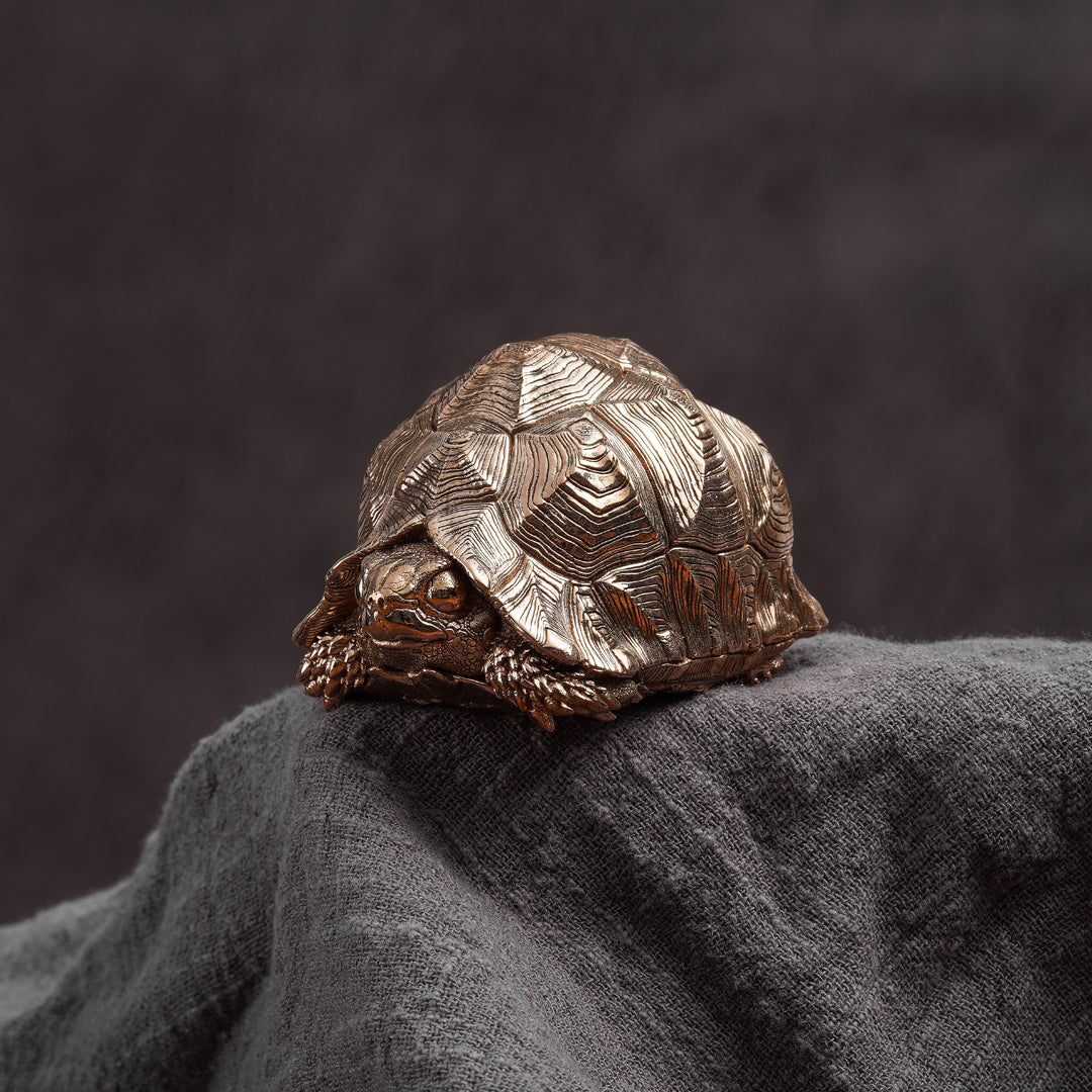 Bronze Leopard Tortoise Statue