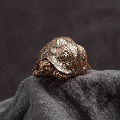 Bronze Leopard Tortoise Statue