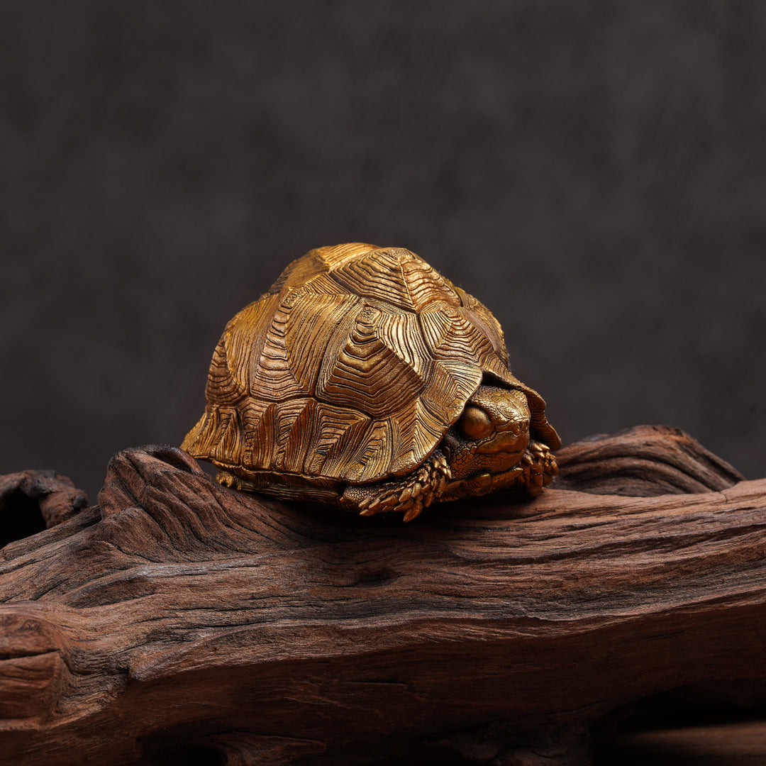 Bronze Leopard Tortoise Statue