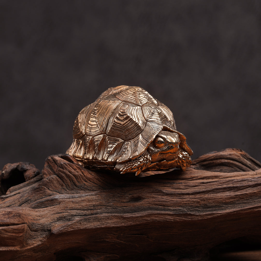 Bronze Leopard Tortoise Statue