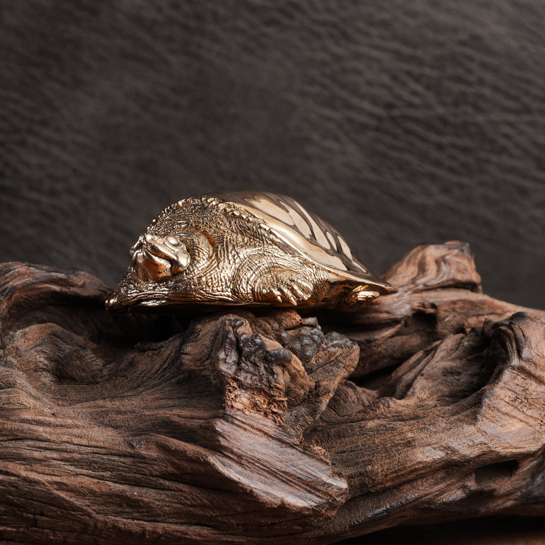 Fortune Softshell Turtle Statue