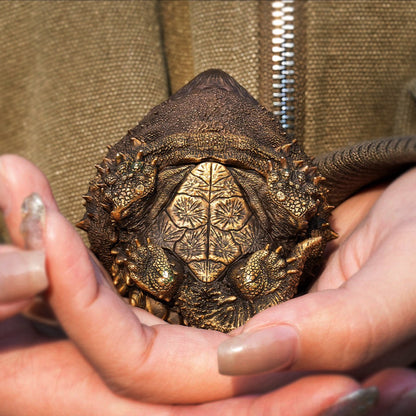 Alligator Snapping Turtle Bronze Statue